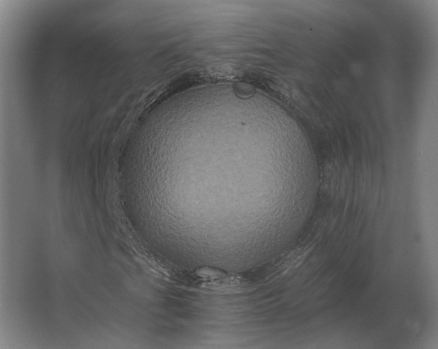 X0000063441201200602031732