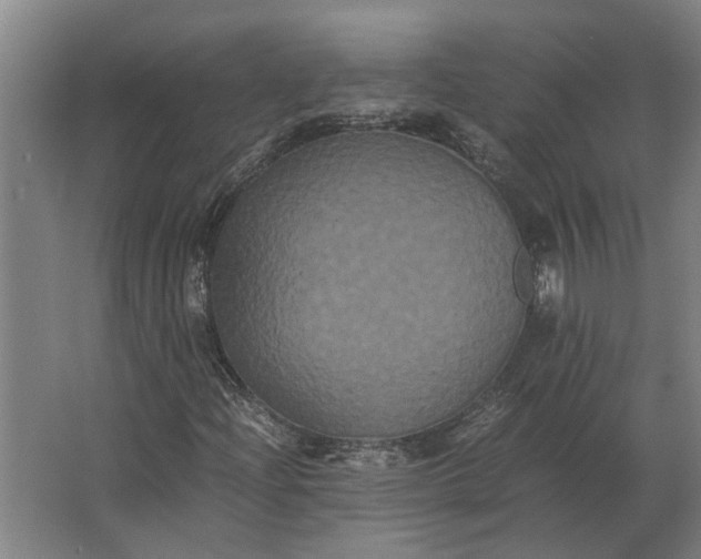 X0000063441204200602031732