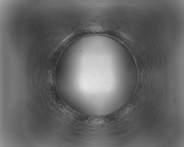 X0000063441205200602031732
