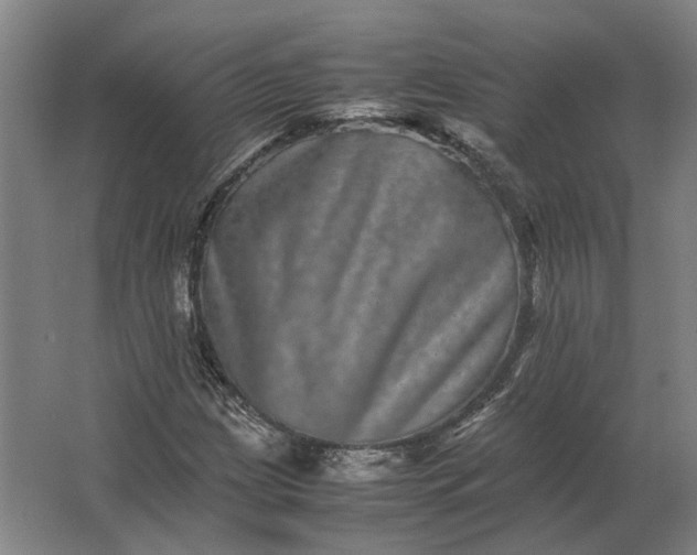X0000063441209200602031732