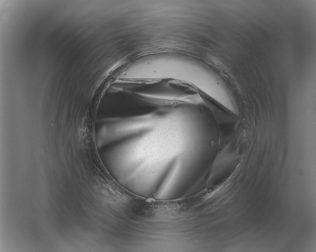 X0000063441210200602031732