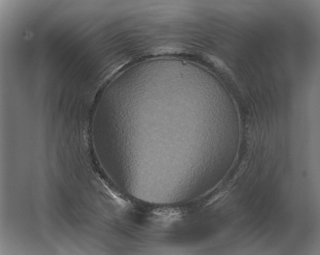 X0000063441217200602031733