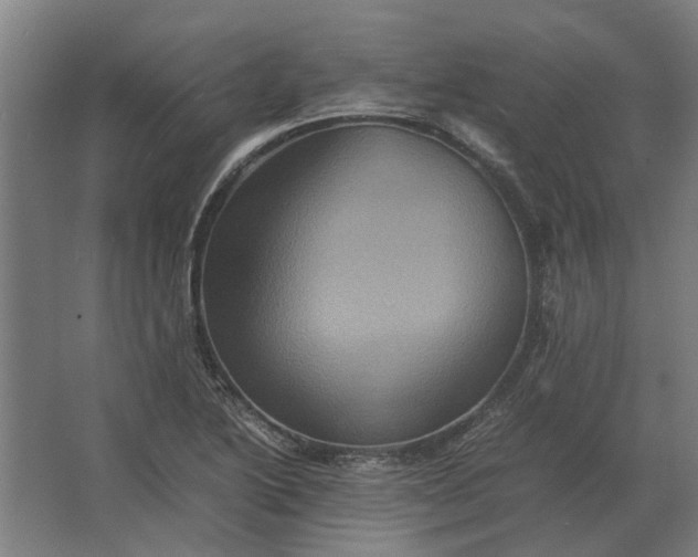 X0000063441222200602031733