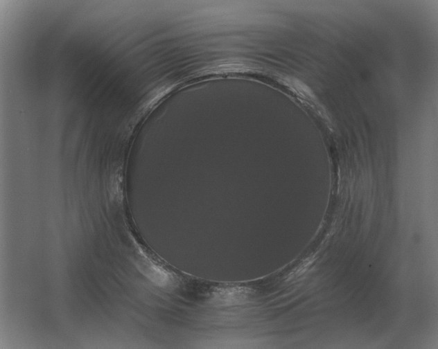 X0000063441225200602031733