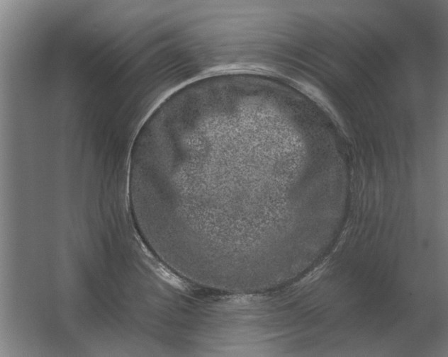 X0000063441228200602031733