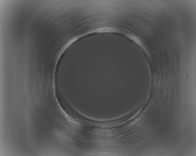 X0000063441229200602031733