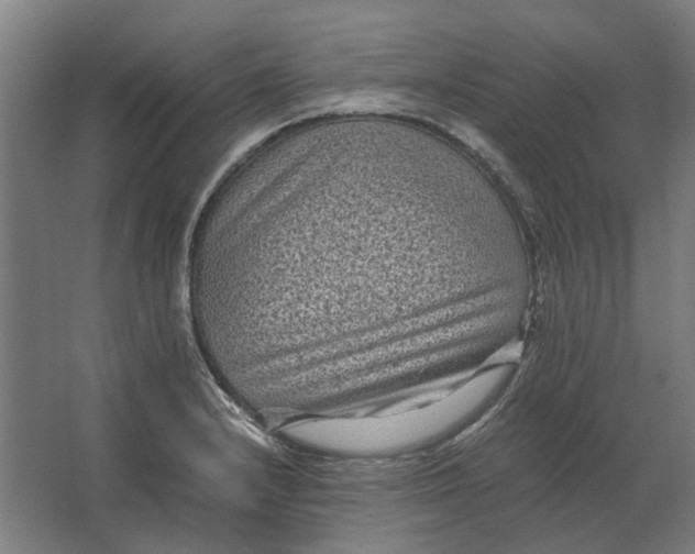 X0000063441232200602031733