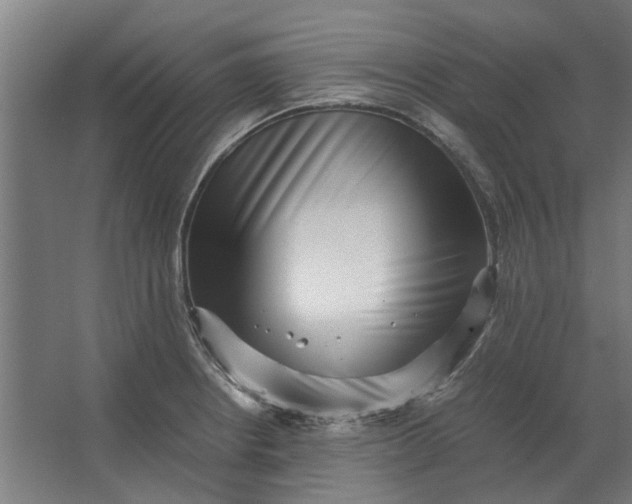 X0000063441234200602031733