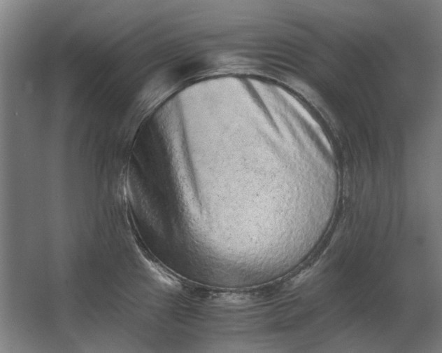 X0000063441241200602031733