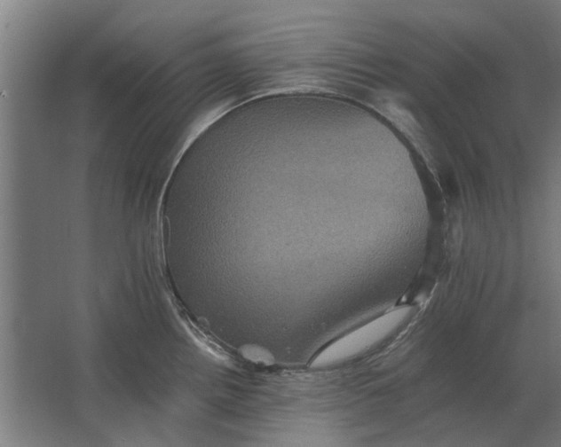 X0000063441242200602031733