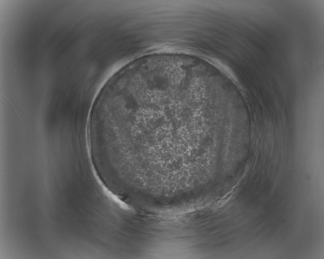 X0000063441247200602031733