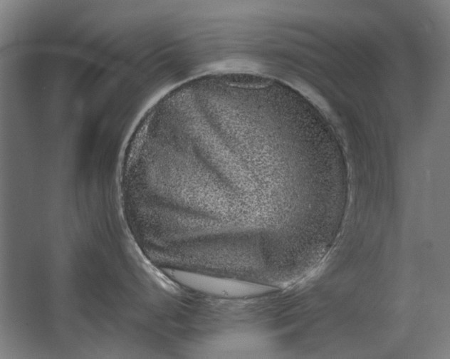 X0000063441248200602031733