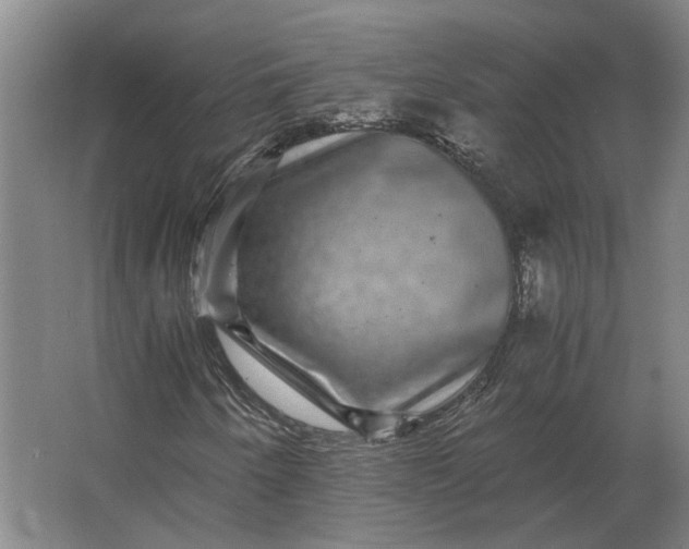 X0000063441250200602031732