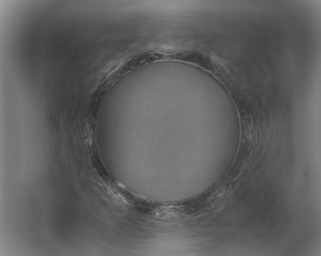 X0000063441253200602031732