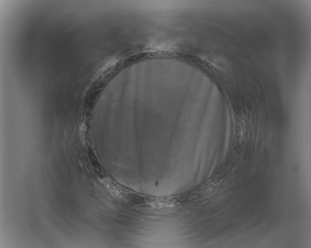 X0000063441254200602031732