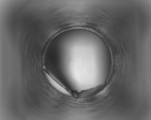 X0000063441257200602031732