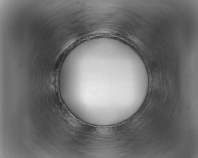 X0000063441258200602031732