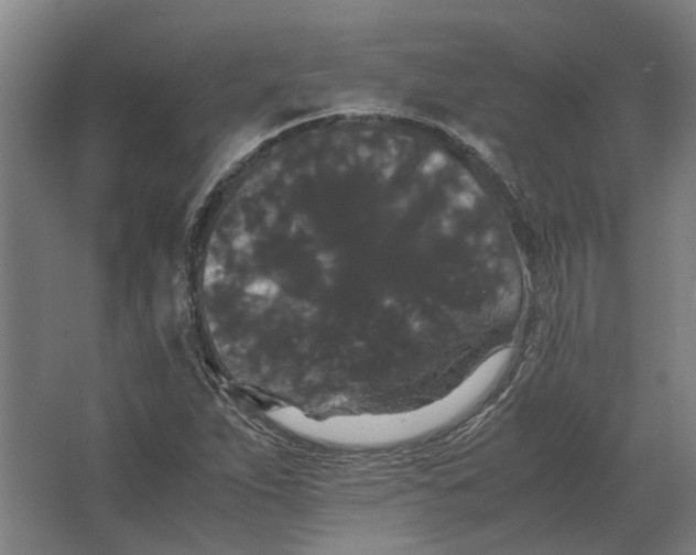 X0000063441263200602031732