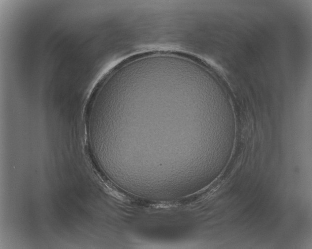 X0000063441271200602031732
