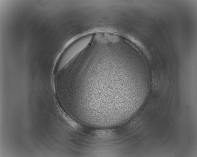 X0000063441272200602031732