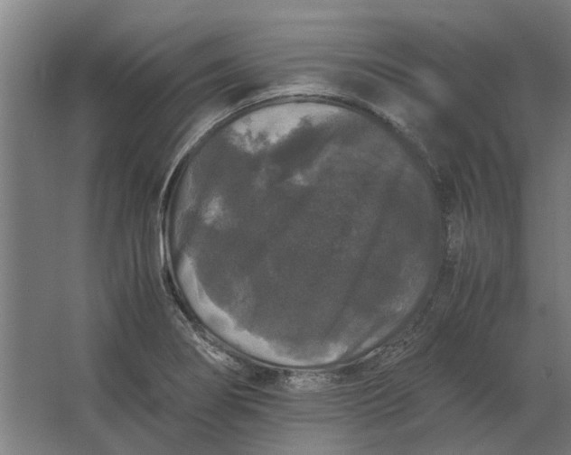 X0000063441274200602031732