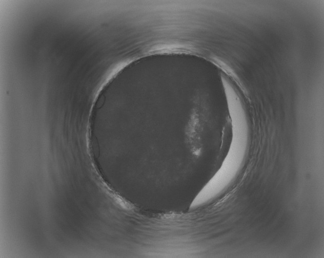 X0000063441277200602031732