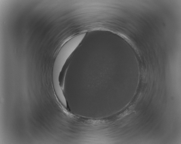 X0000063441289200602031732