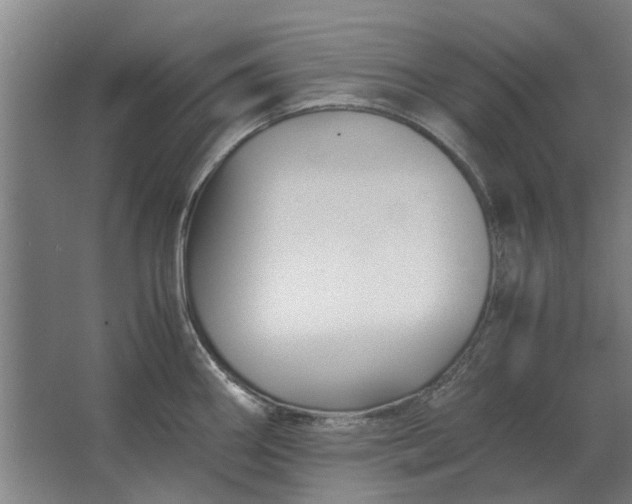 X0000063441290200602031732