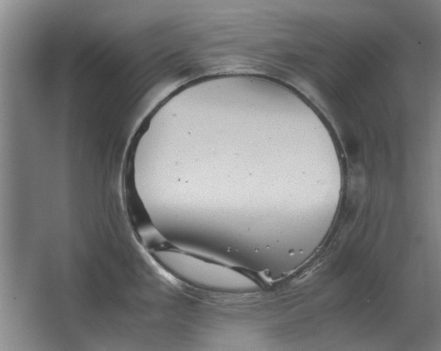 X0000063441293200602031732