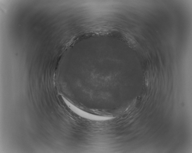 X0000063441298200602031731