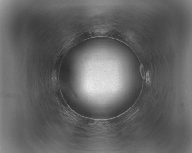 X0000063441299200602031731