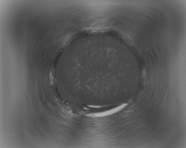 X0000063441300200602031731