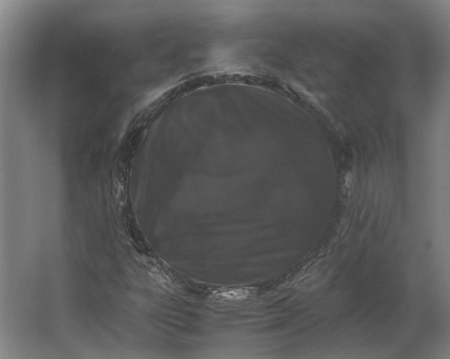 X0000063441303200602031731