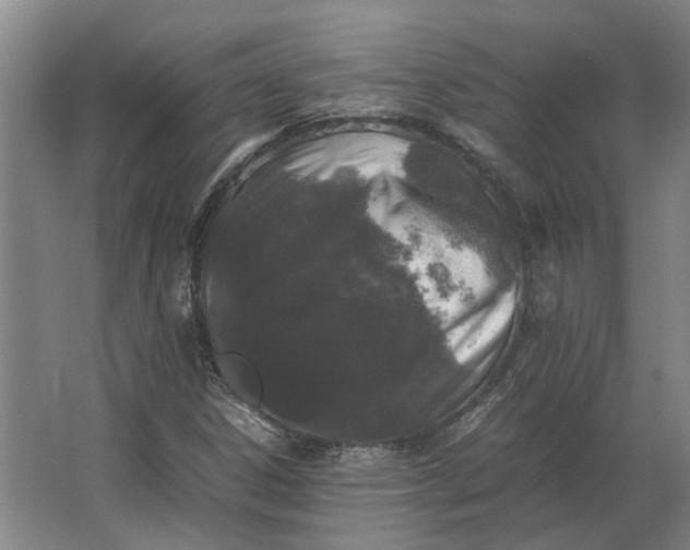 X0000063441306200602031731