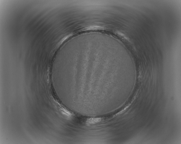 X0000063441313200602031731