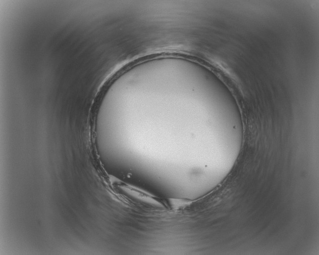 X0000063441316200602031731