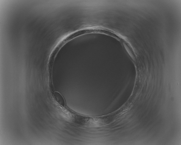 X0000063441319200602031731