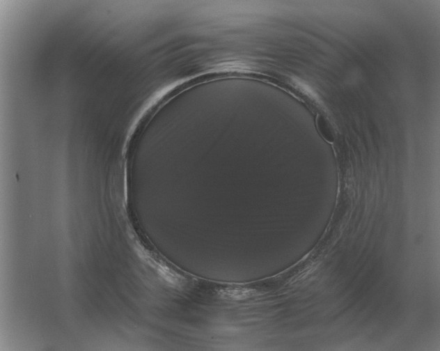 X0000063441323200602031731