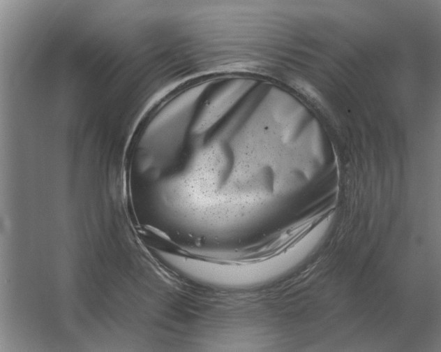 X0000063441324200602031731