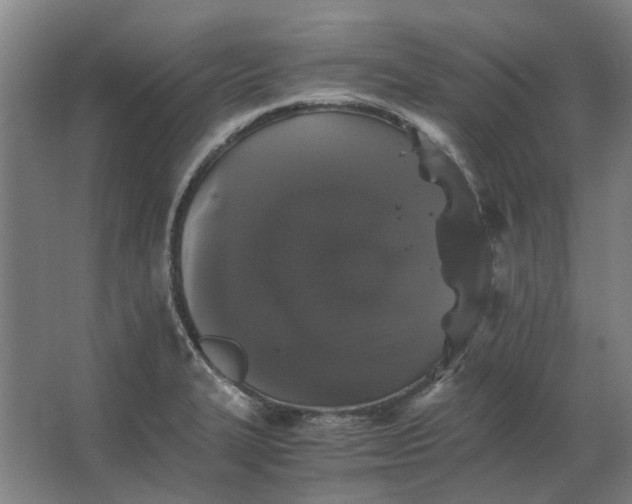 X0000063441327200602031731