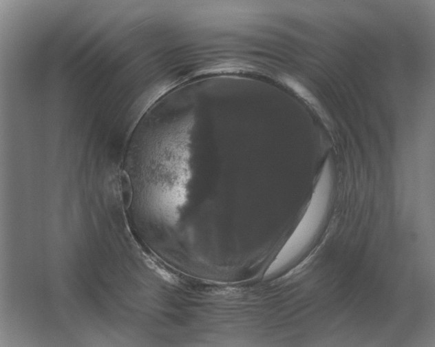 X0000063441329200602031731