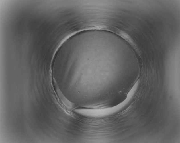 X0000063441332200602031731