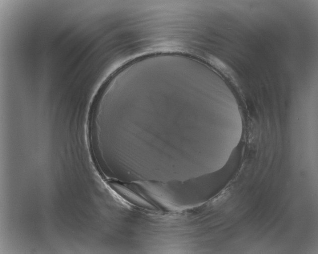 X0000063441334200602031731