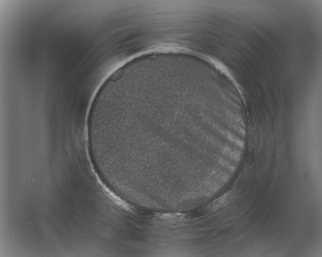 X0000063441335200602031731