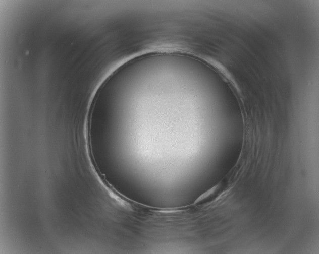 X0000063441343200602031731