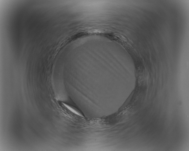 X0000063441345200602031731