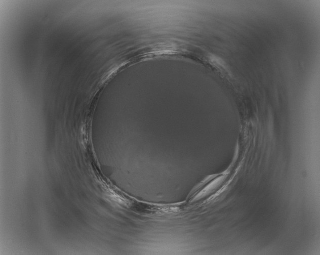 X0000063441353200602031731