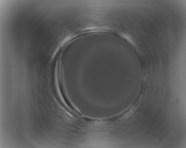 X0000063441357200602031730