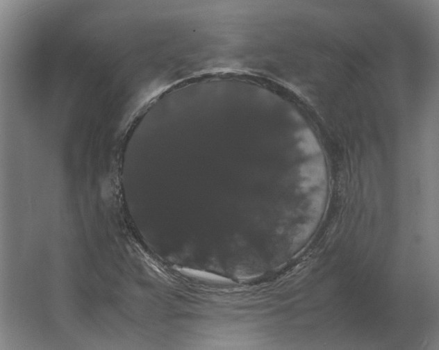 X0000063441359200602031730