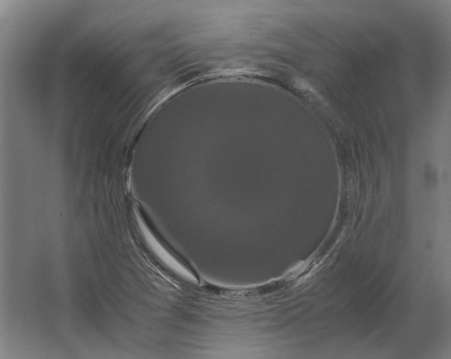 X0000063441361200602031730